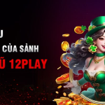 Nổ hũ 12Play